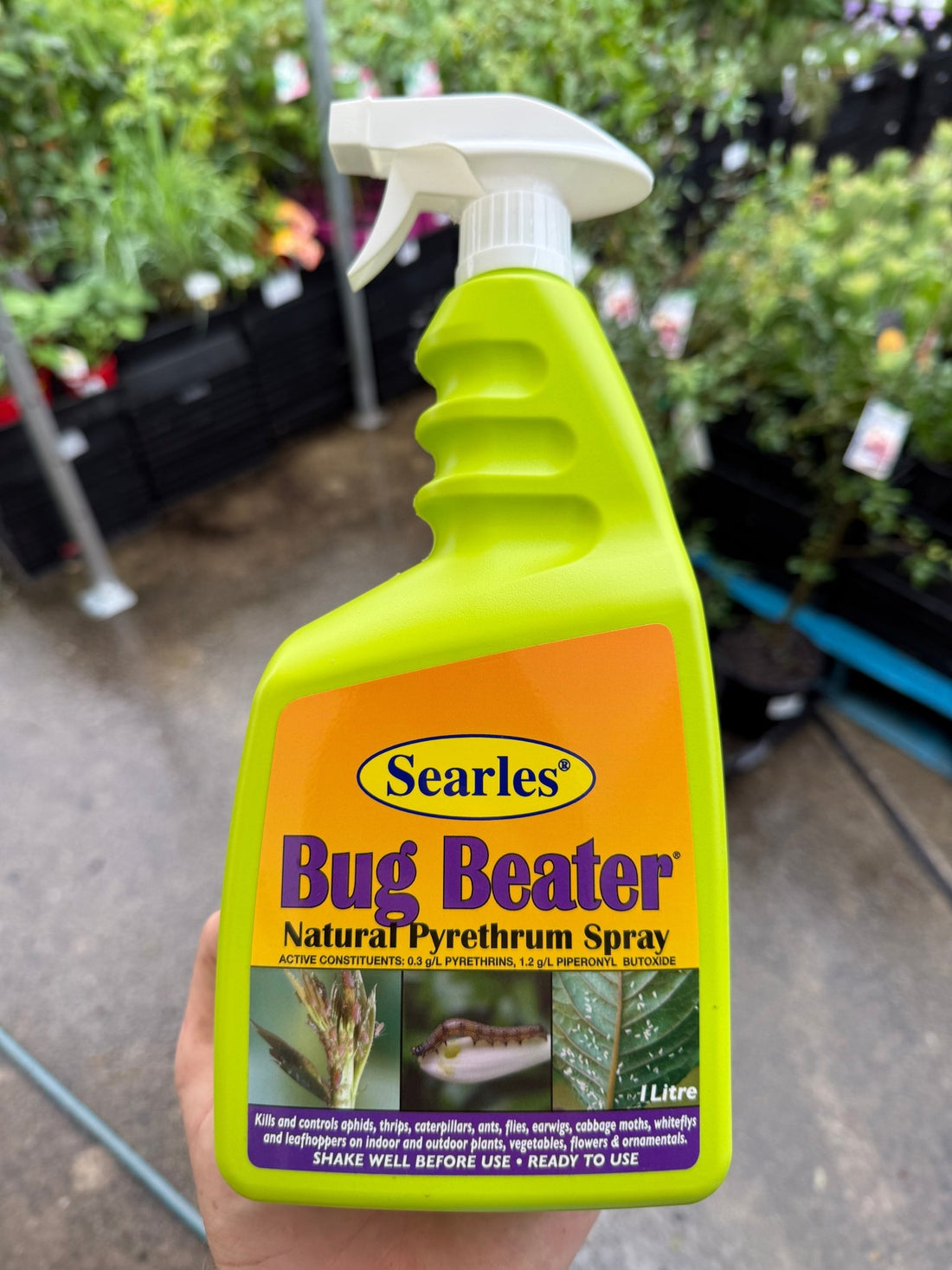 Bug Beater - Natural Pyrethrum Spray 1L - Ladybird Nursery