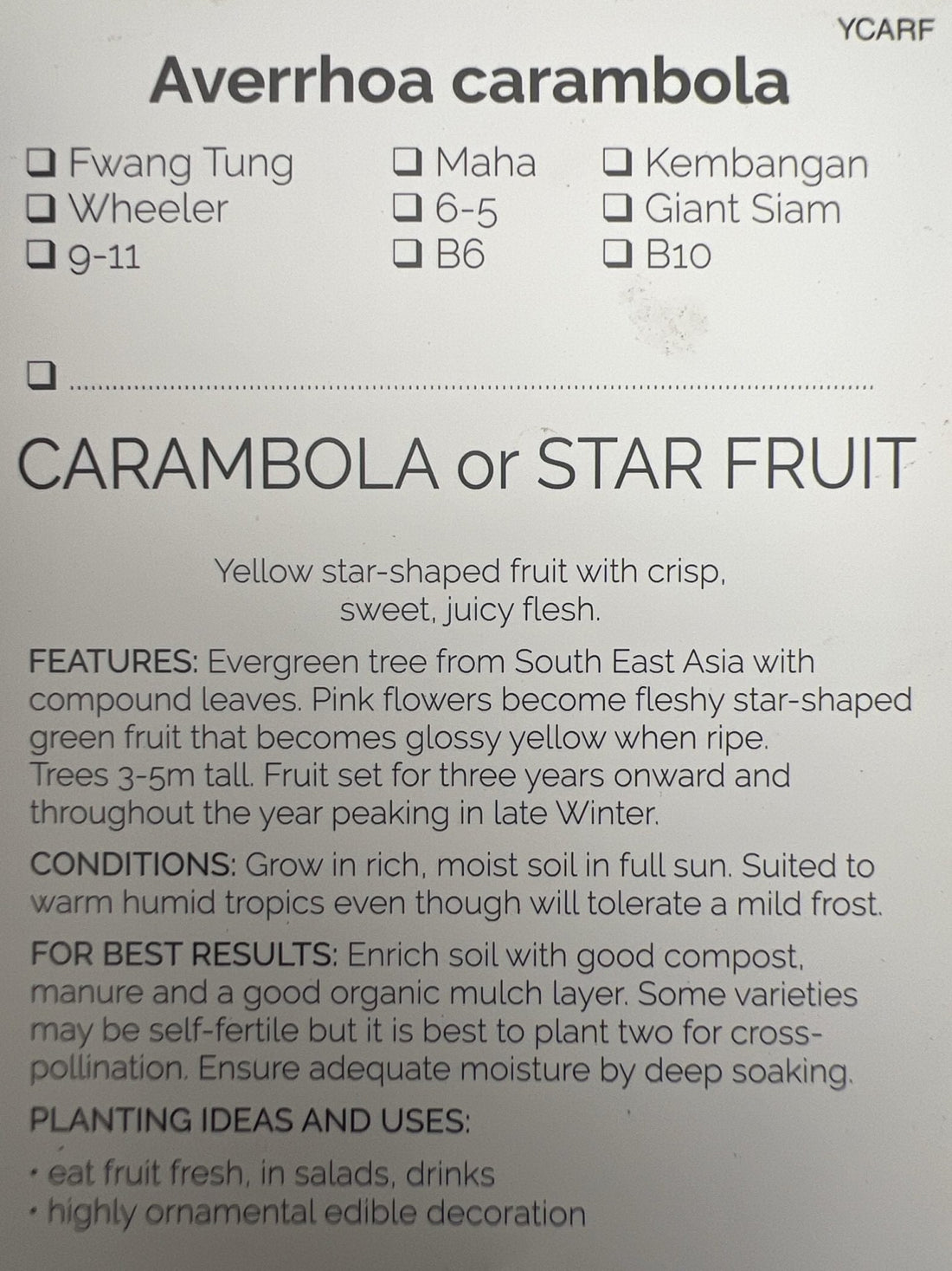 Carambola Honey Sweet (Star Fruit) Tree - Grafted - Ladybird Nursery