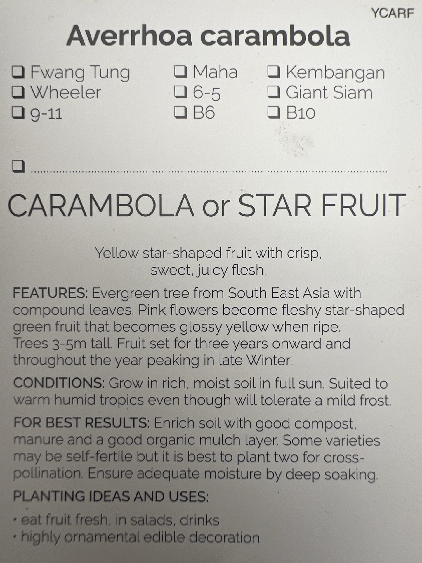 Carambola Honey Sweet (Star Fruit) Tree--Grafted