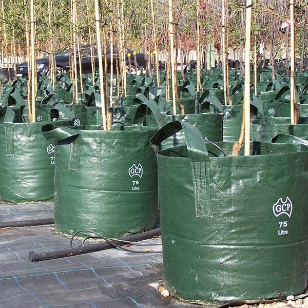 Grow Bag With Handles 75 Litre - Ladybird Nursery