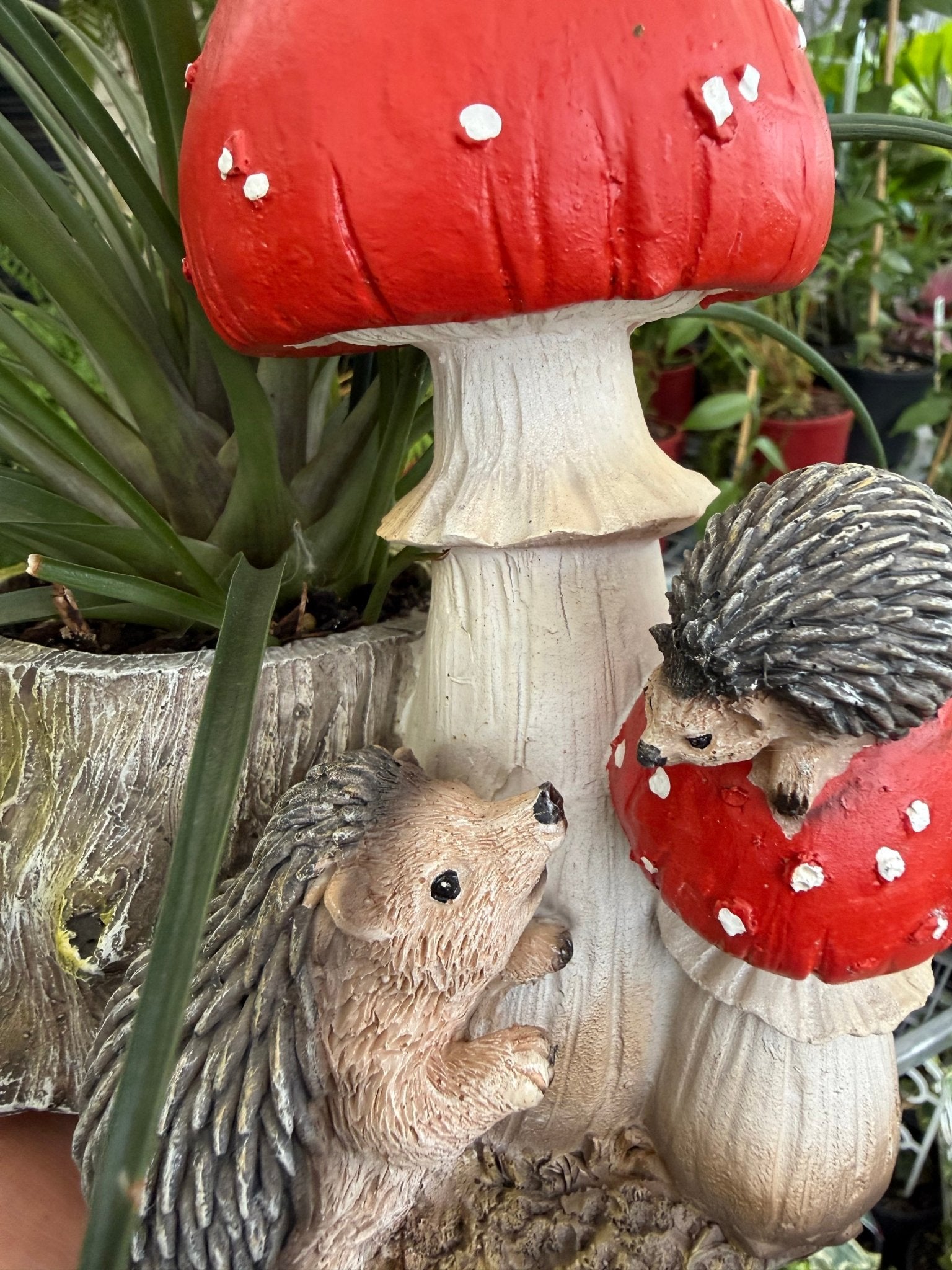 Pink Quill (Tillandsia cyanea) in Mushroom and Log Planter - Ladybird Nursery