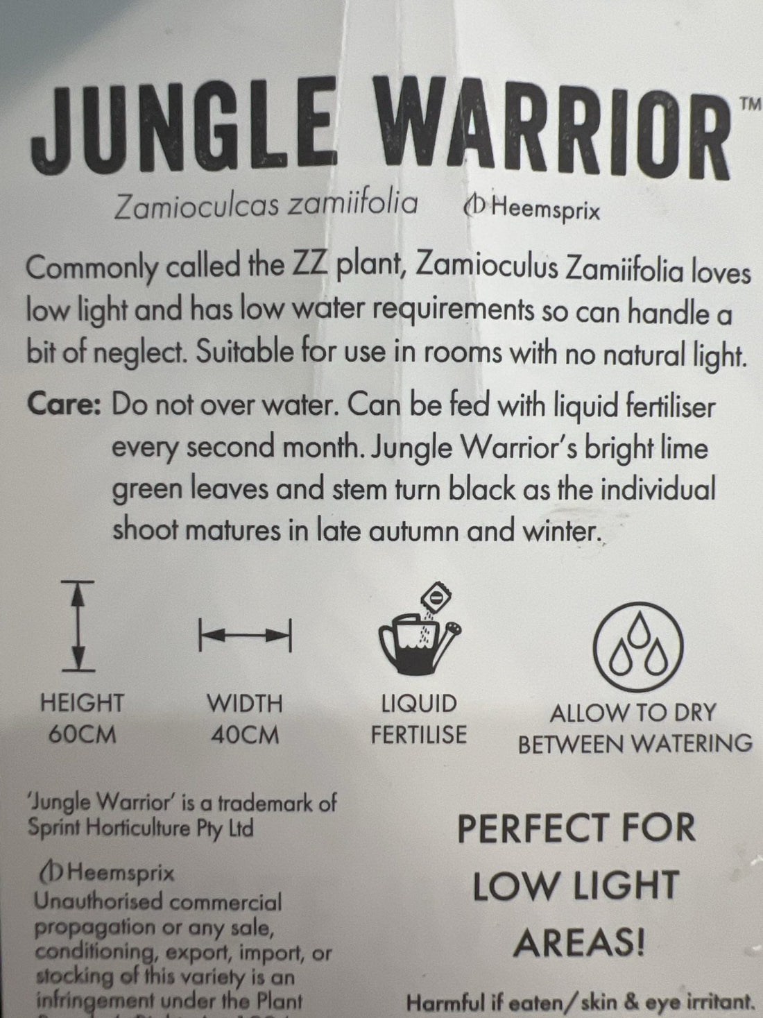 Zanzibar Jungle Warrior 125mm - Ladybird Nursery
