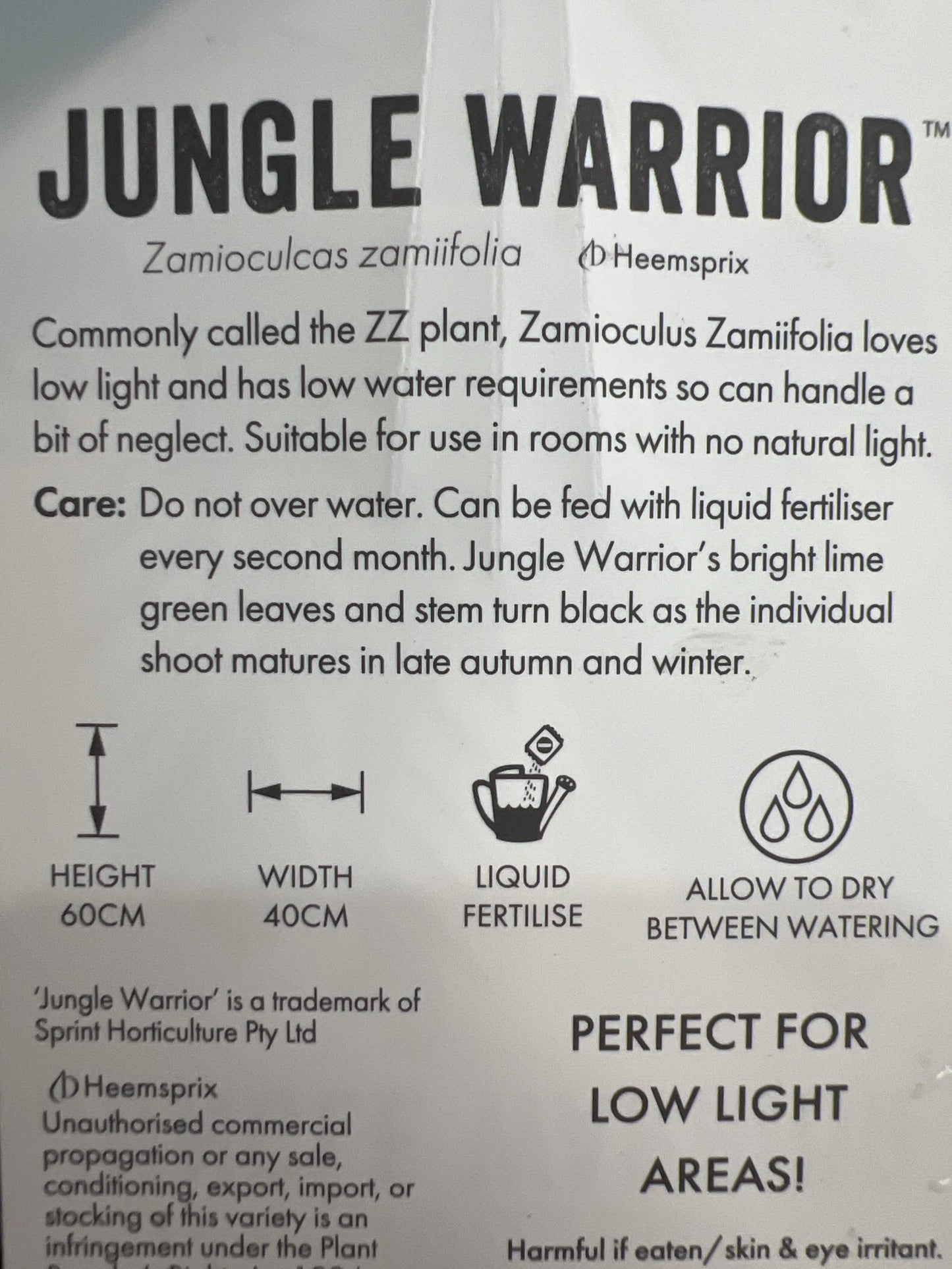 Zanzibar Jungle Warrior 125mm