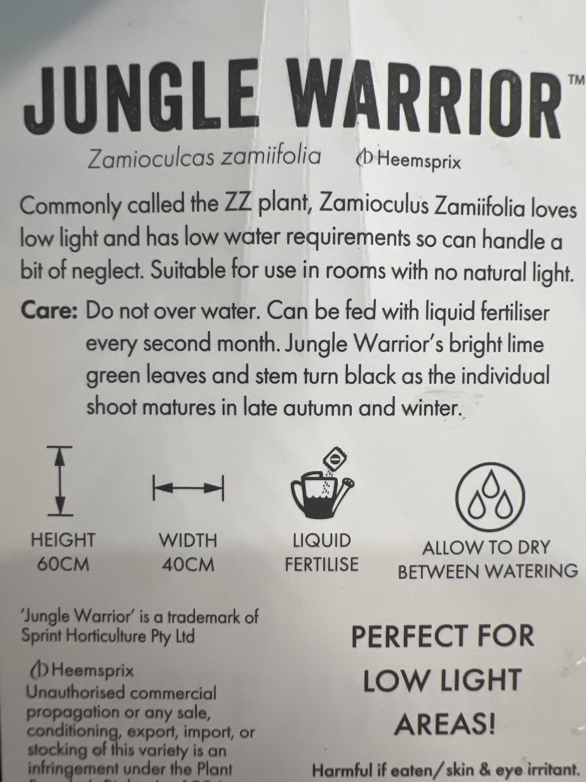 Zanzibar Jungle Warrior 125mm