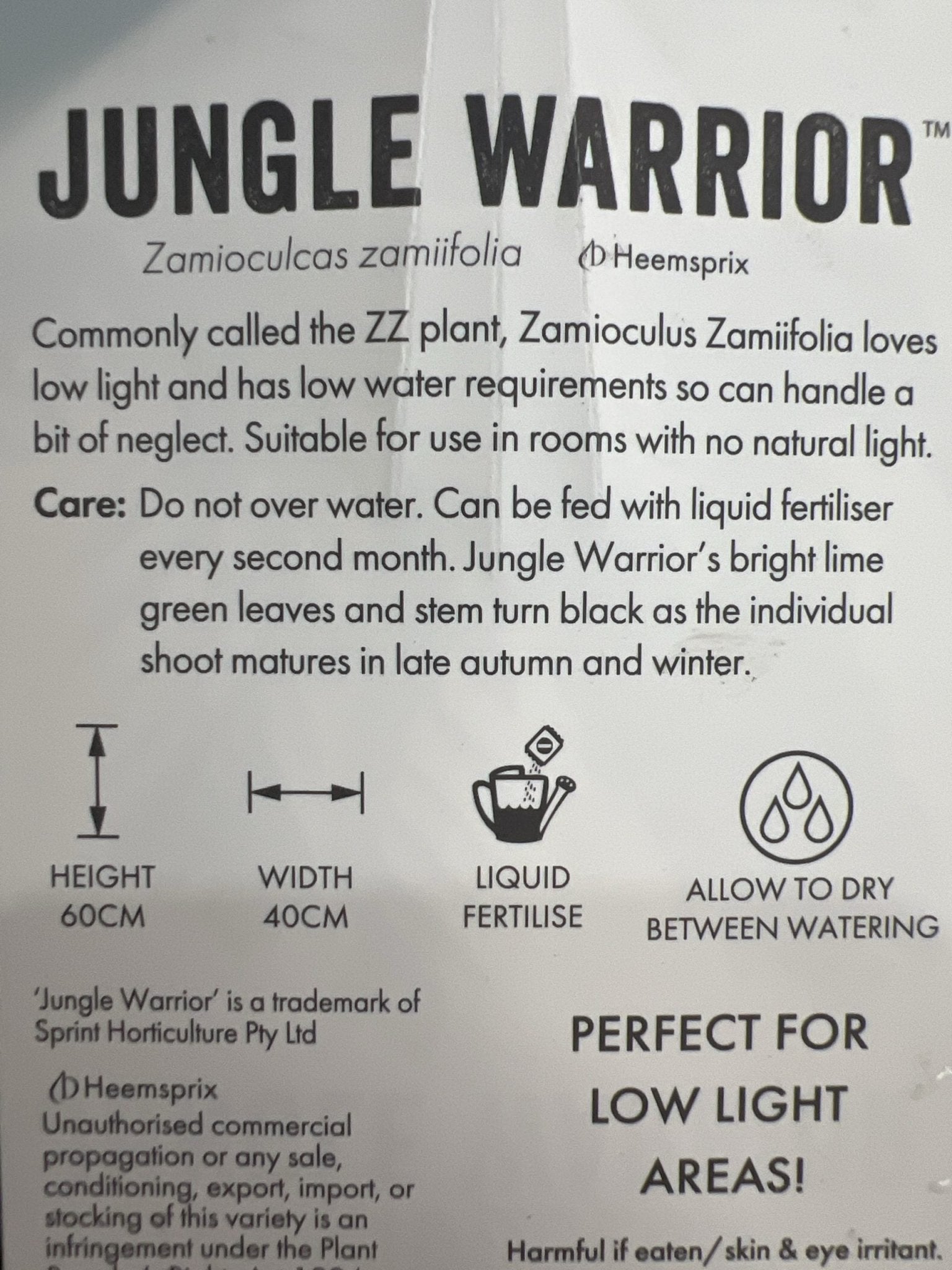 Zanzibar Jungle Warrior 125mm - Ladybird Nursery