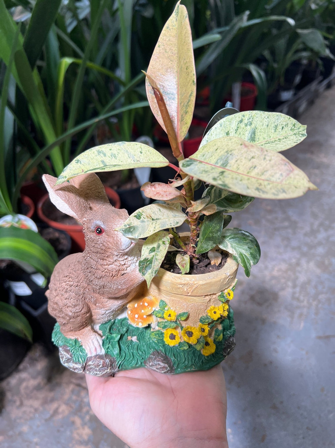Bunny Planters with indoor plant - Ladybird Nursery