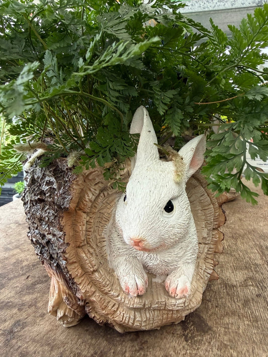 Fern in Ceramic Bunny and Log Planter - Ladybird Nursery