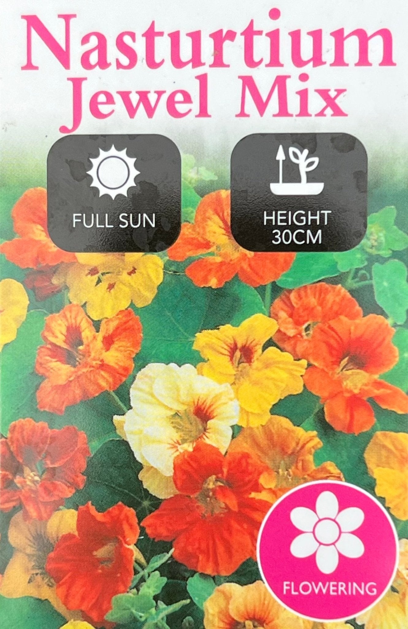 Nasturtium 'Jewel Mix' - Ladybird Nursery