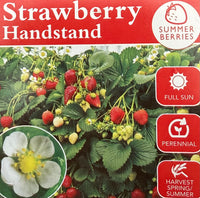 Strawberry 'Handstand'