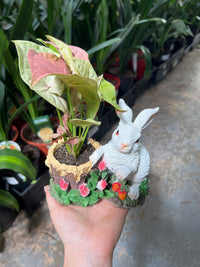 Bunny Planters with indoor plant - Ladybird Nursery