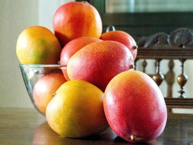 Dwarf Mango Bowen (a.k.a. Dwarf Alison Red) Tree