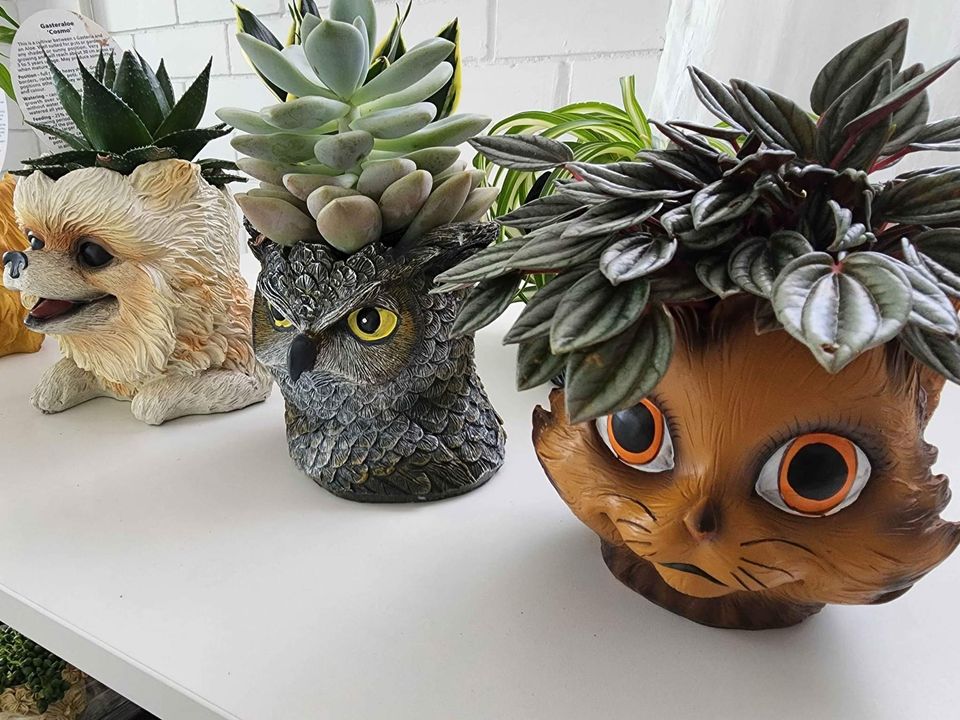 Animal Planters with indoor plant