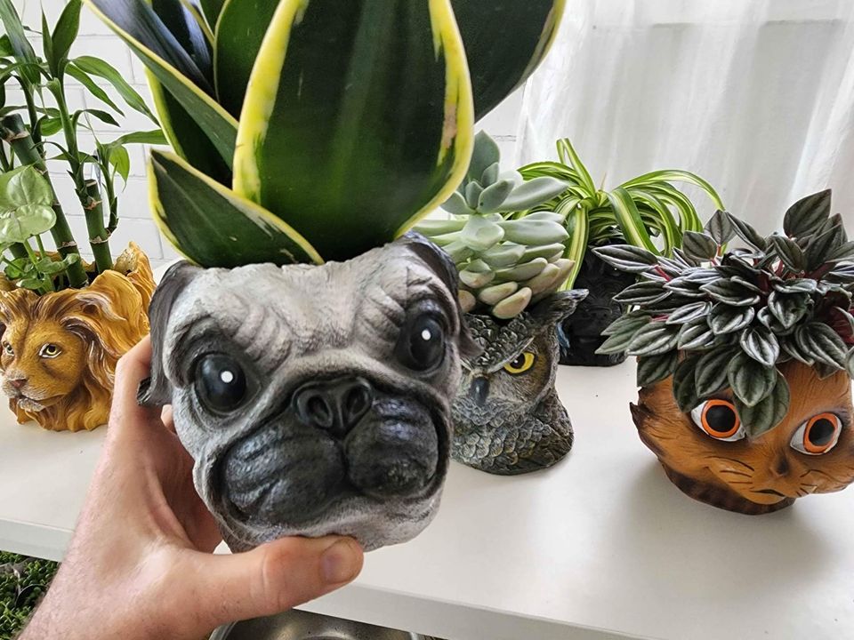 Animal Planters with indoor plant