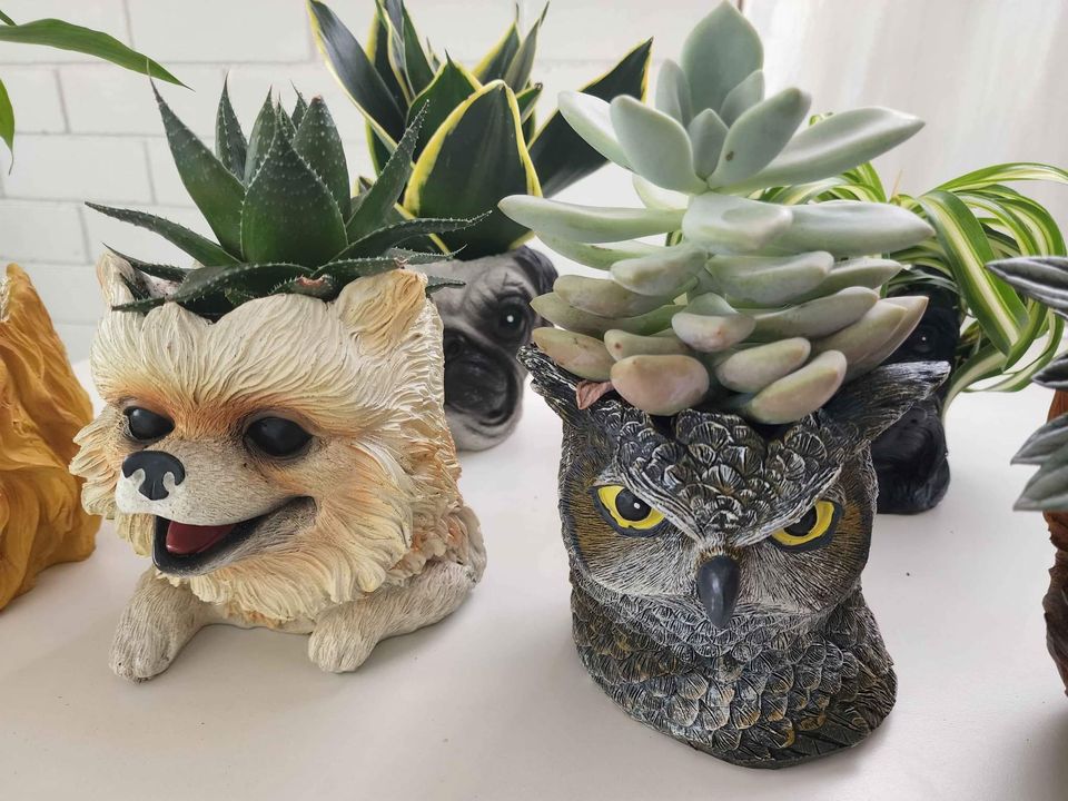 Animal Planters with indoor plant