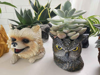 Animal Planters with indoor plant