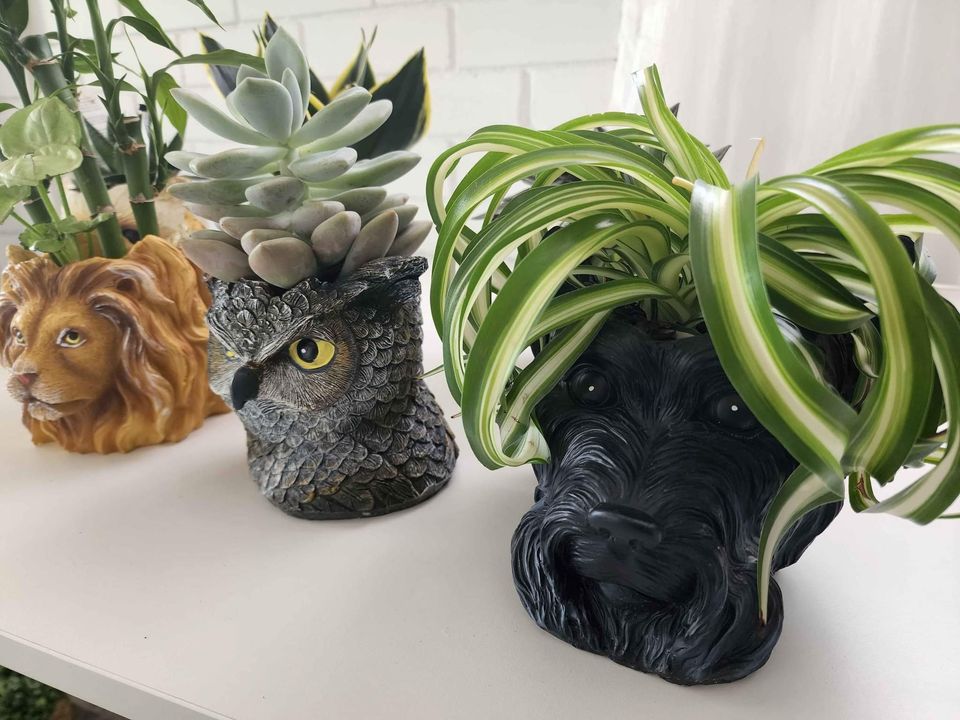 Animal Planters with indoor plant