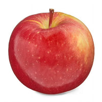Apple Red Fuji