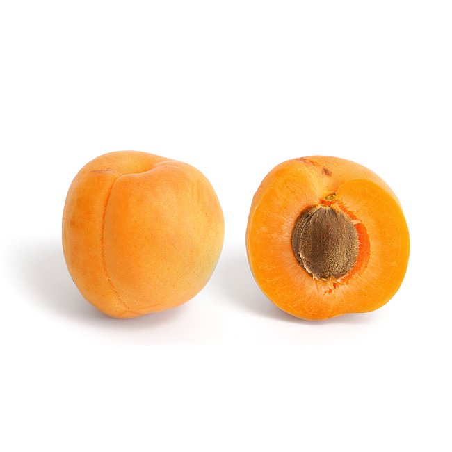 Apricot 'Divinity' - Ladybird Nursery