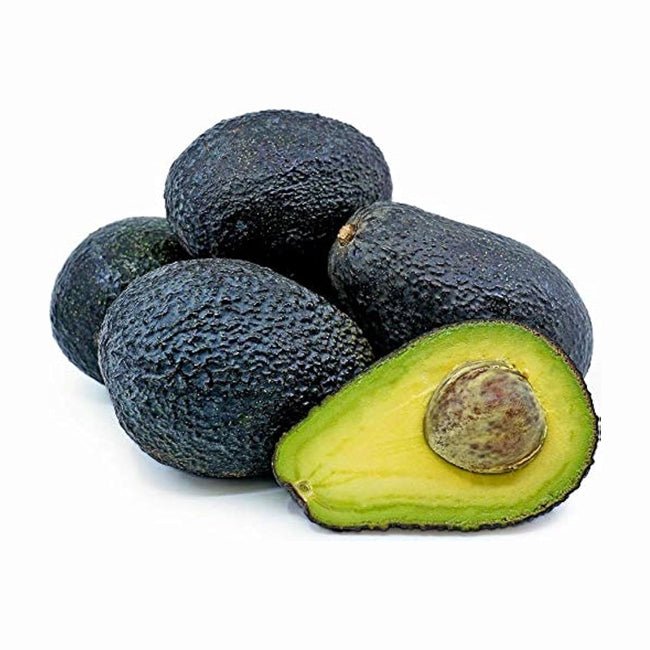 Avocado Lamb Hass (A) - Ladybird Nursery