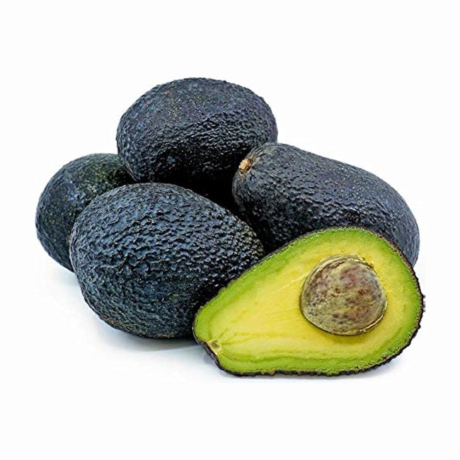 Avocado Lamb Hass (A)