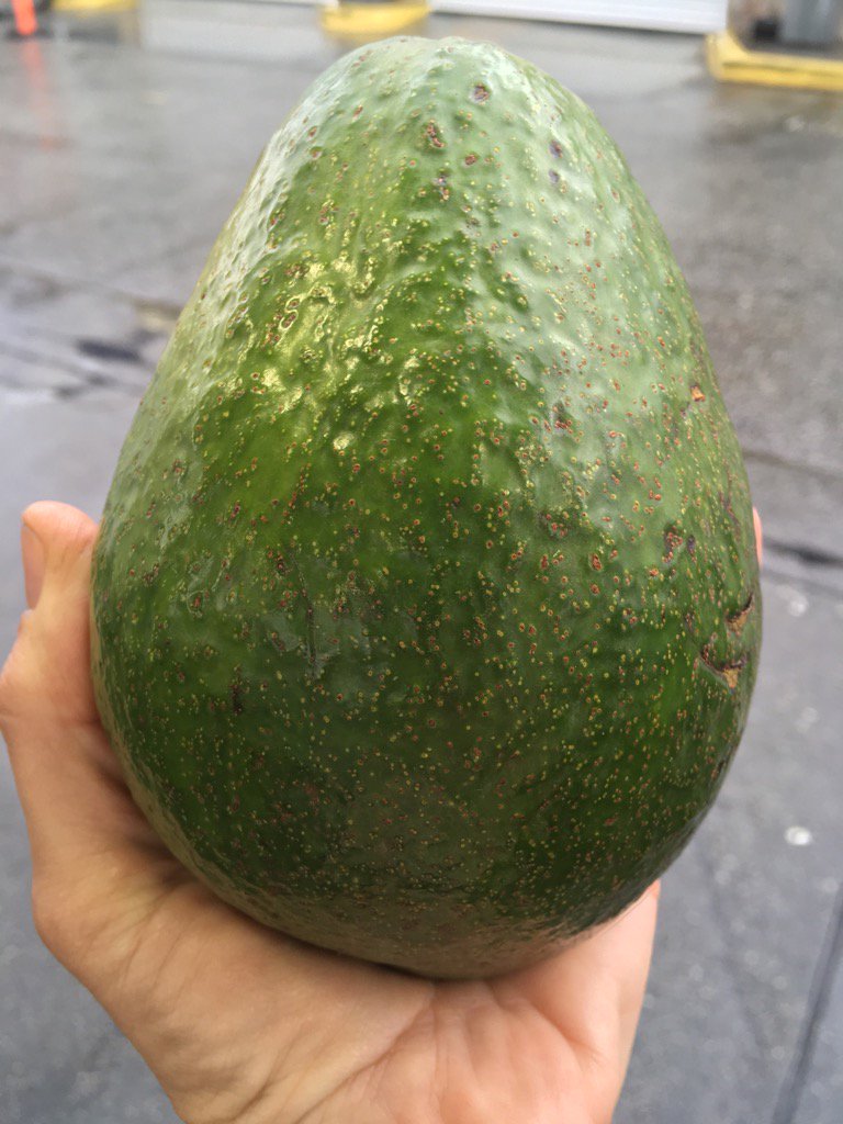 Avocado Bundy Mill (A Type)