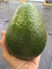 Avocado Bundy Mill (A Type)