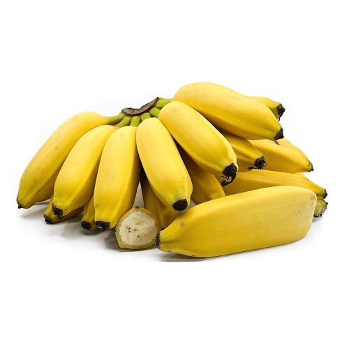 Banana Pisang Ceylon Tube Stock QLD ONLY - Ladybird Nursery