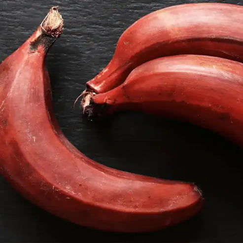 Banana Red Dacca QLD ONLY
