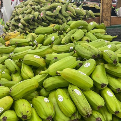 Banana Tonga Tube Stock QLD ONLY - Ladybird Nursery