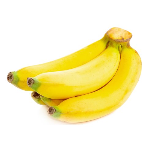 Banana Ducasse Tube Stock QLD ONLY - Ladybird Nursery