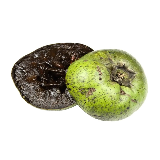 Black Sapote Tahiti (grafted)