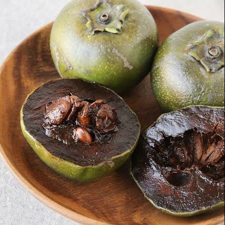 Black Sapote 'Bernecker' - Ladybird Nursery