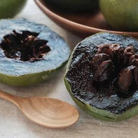 Dwarf Black Sapote 'Maher' - Ladybird Nursery