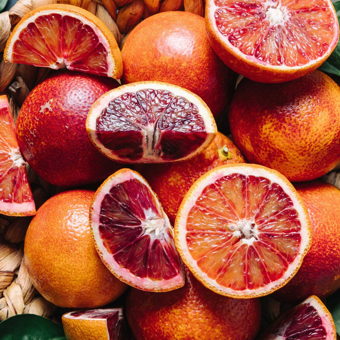 Advanced Blood Orange 'Maltese' 400mm (PICKUP ONLY) - Ladybird Nursery