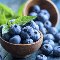 Blueberry BSA - Ladybird Nursery