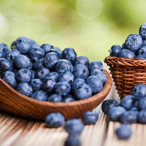 Blueberry Gulf Coast