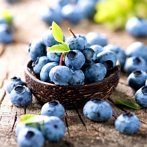 Blueberry Gulf Coast - Ladybird Nursery