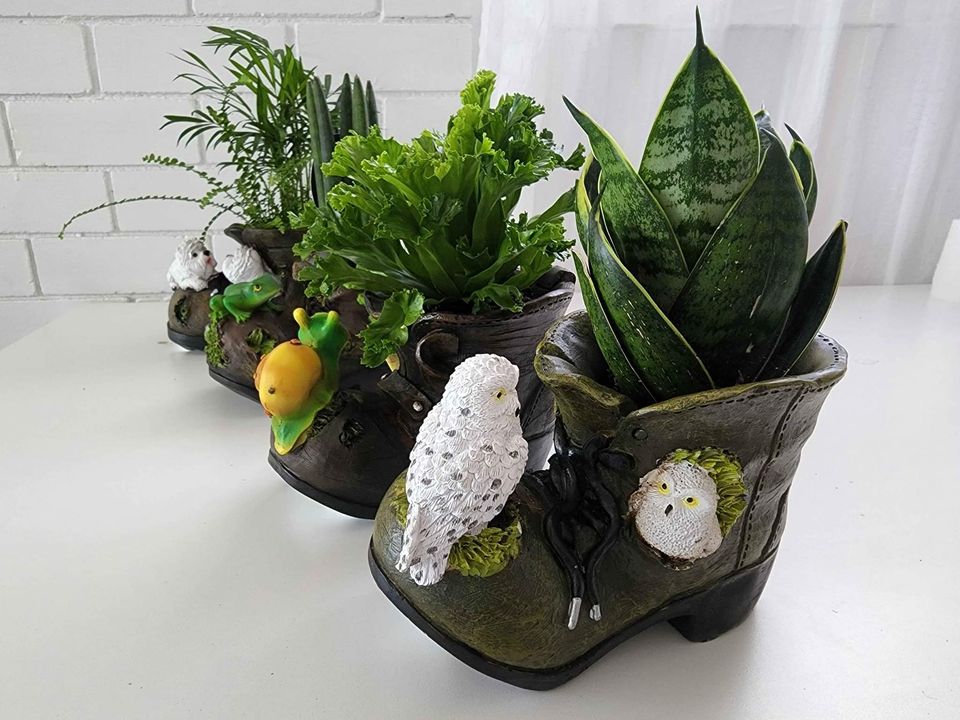 Boot Planters with indoor plant