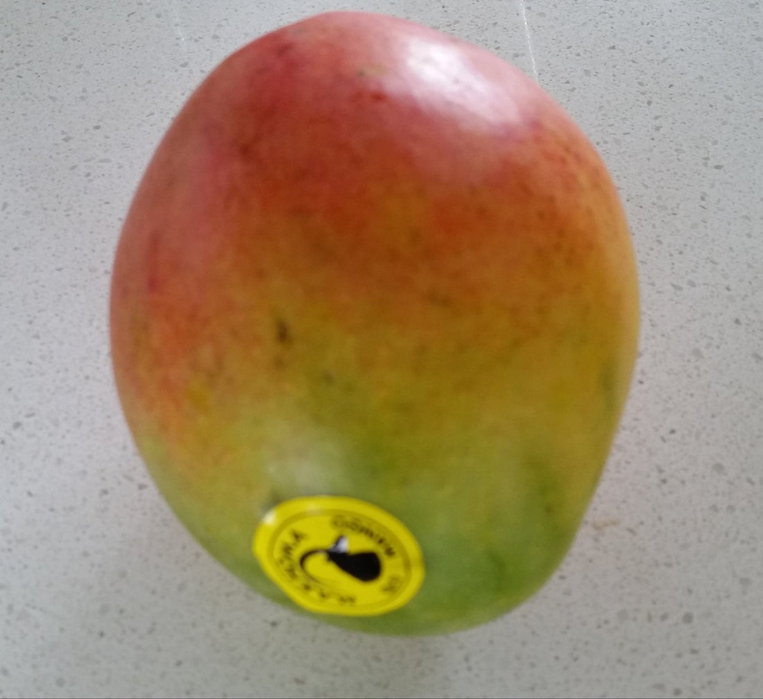 Mango ‘Bundy Special’ NEW - Ladybird Nursery