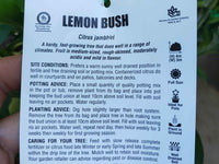 Bush Lemon (QLD Only)