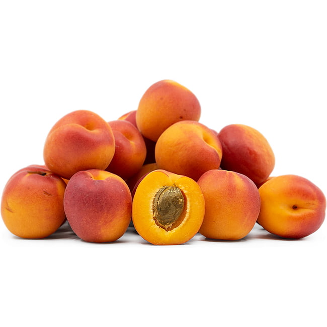 Apricot Hunter