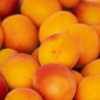 Apricot Hunter - Ladybird Nursery