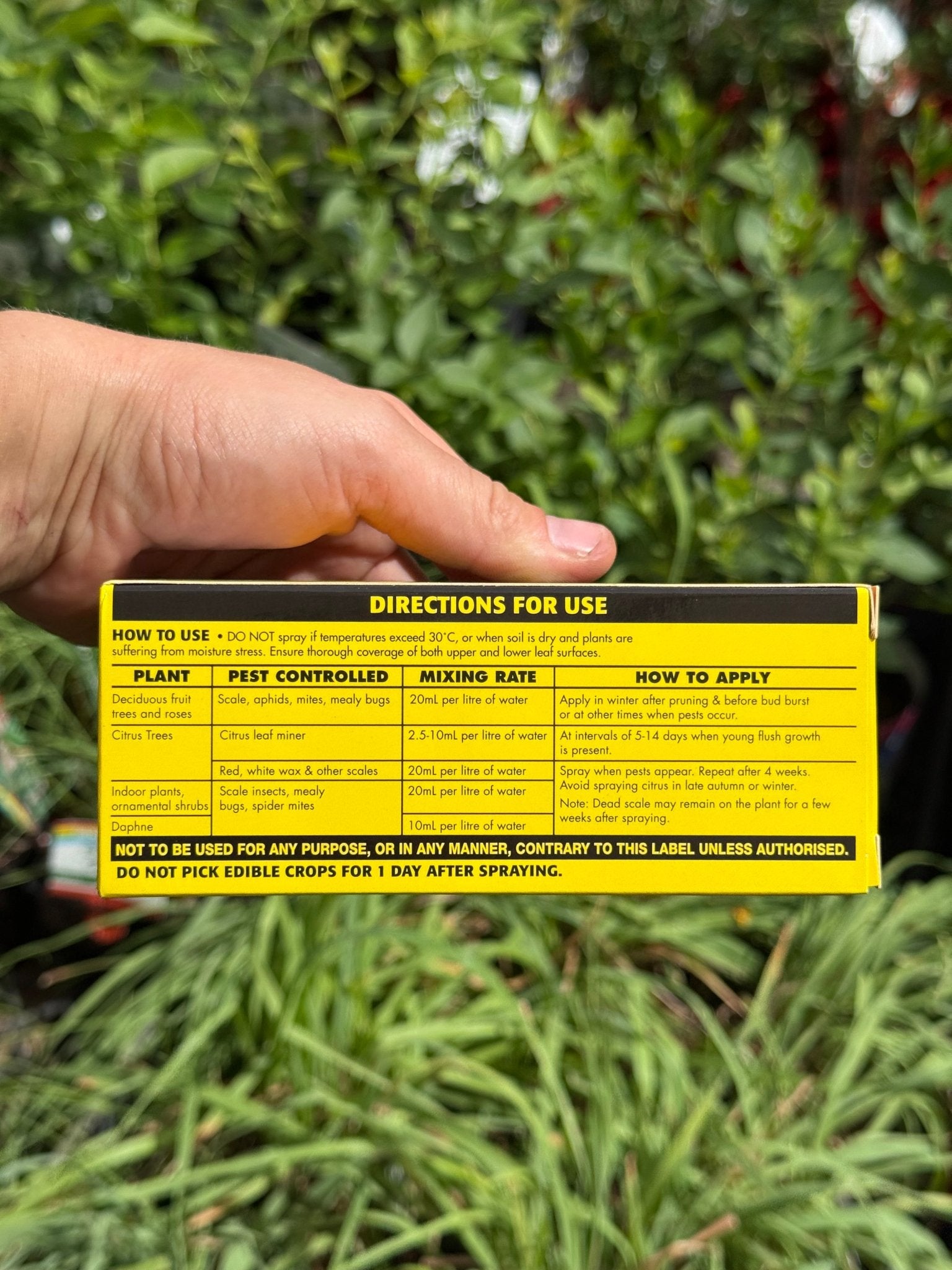 200ml Searles White Oil Insect Control Spray Concentrate - Ladybird Nursery