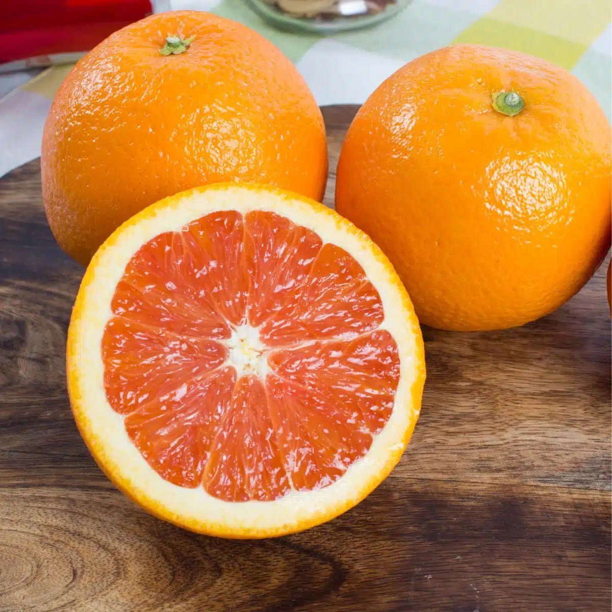 Orange 'Cara Cara' Advanced 500mm pot (PICKUP ONLY) - Ladybird Nursery