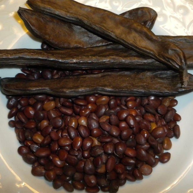 Carob Clifford - Ladybird Nursery