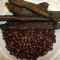 Carob Clifford - Ladybird Nursery