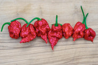 Carolina Reaper Chilli