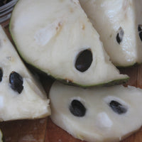 Cherimoya Sofia