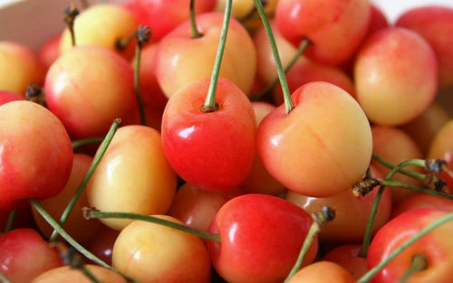 2 - Way Cherry 'Royal Rainier + Stella' - Ladybird Nursery