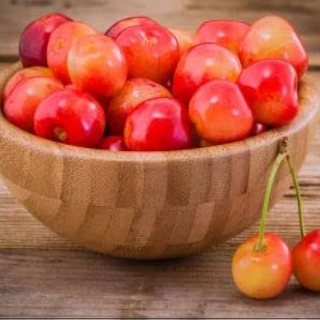 Cherry  Royal Rainier